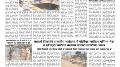 thumbnail of 12 Nov j t new 2024_11zon